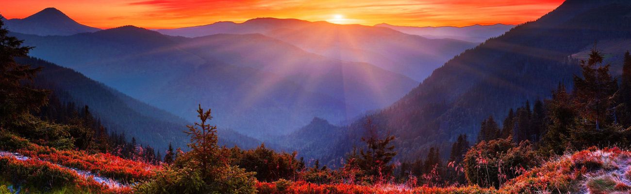 Slide one caption to go here...